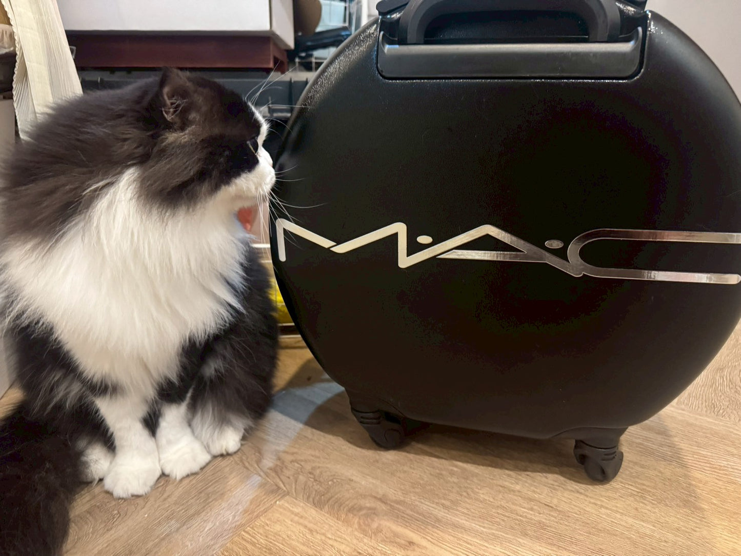 Mini Travel Bag - MAC