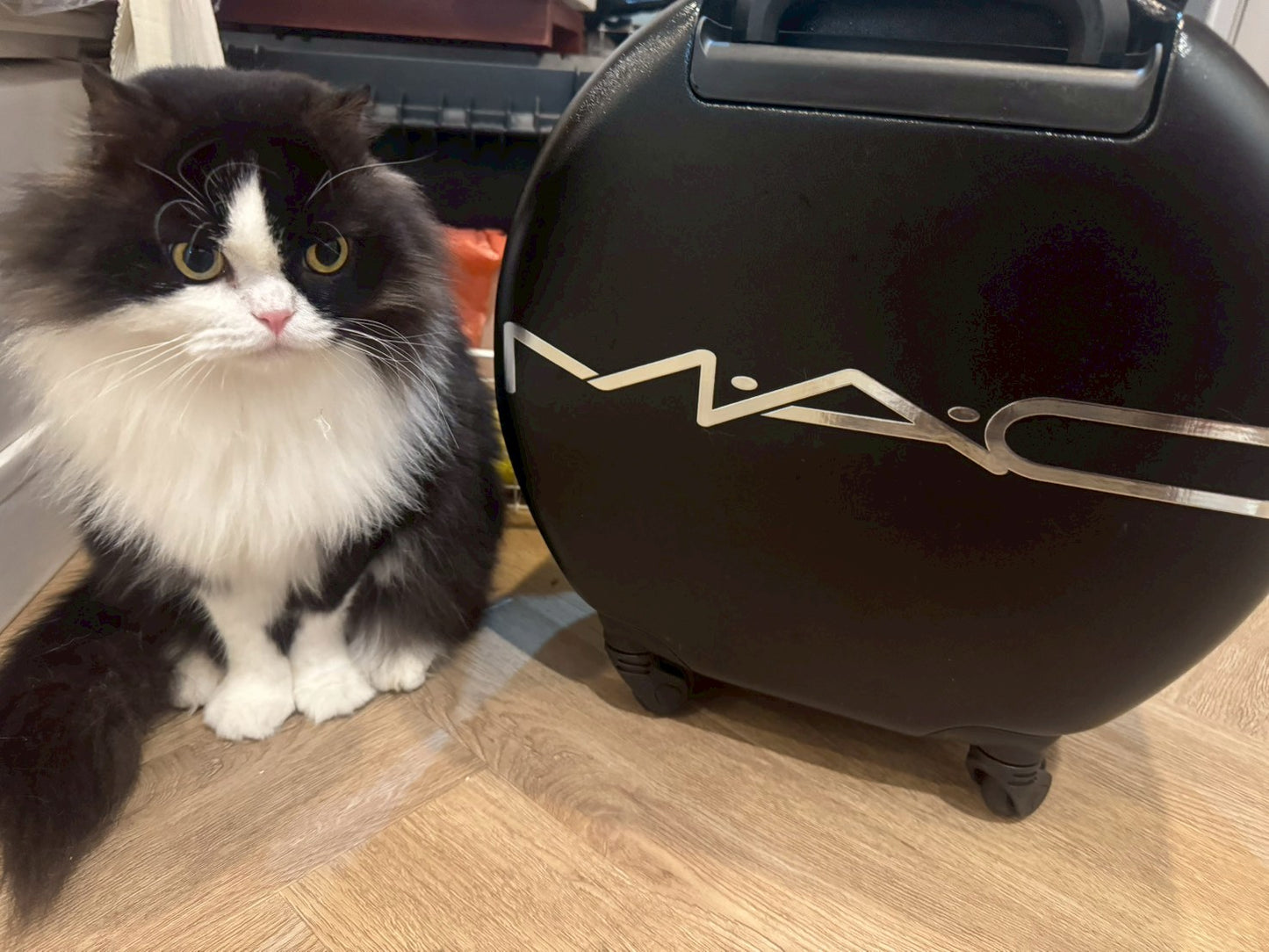 Mini Travel Bag - MAC