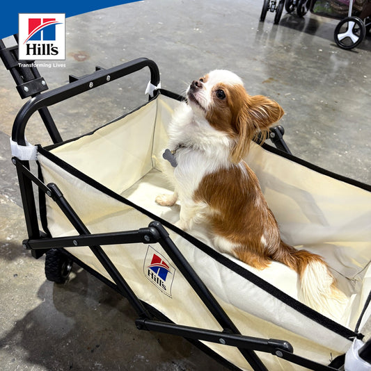 Hills Folding Portable Cart